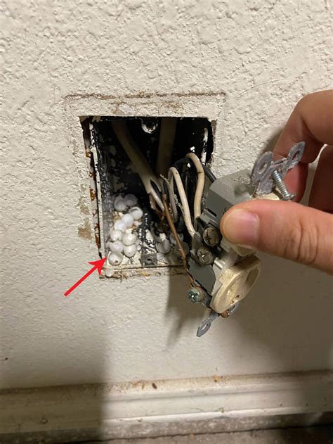 white eggs behind electrical outlet